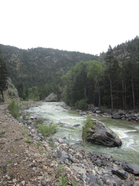 IMG_4345.JPG
